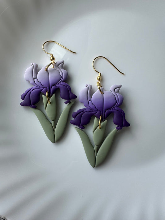 Iris