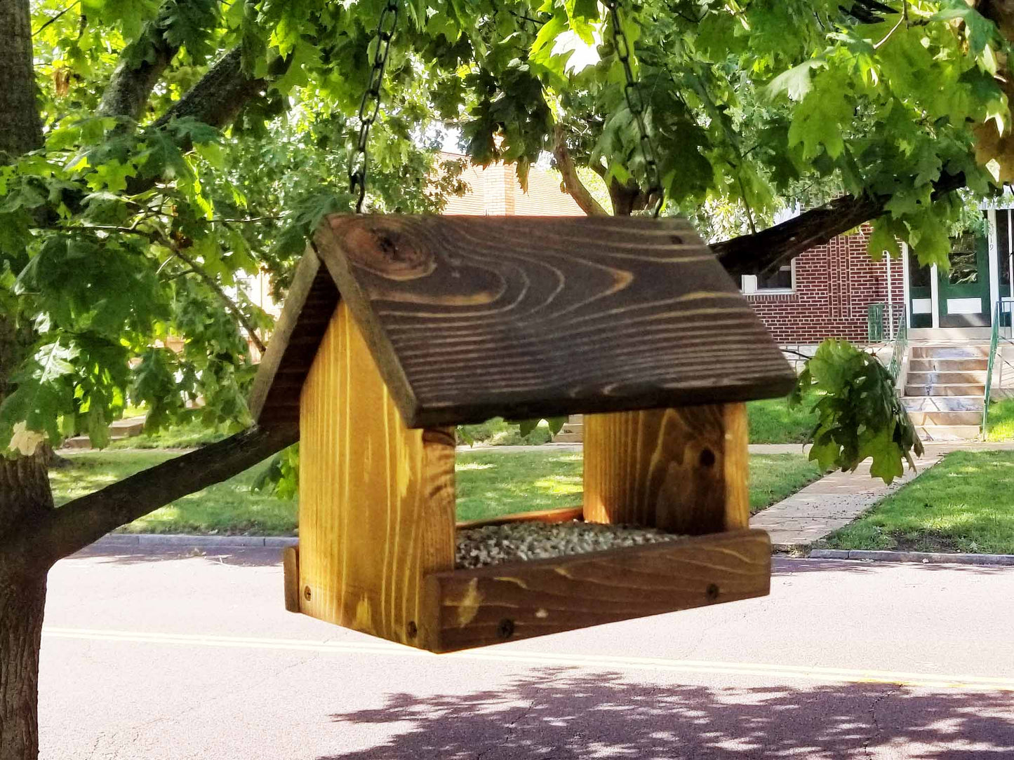 Buffet Bird Feeder