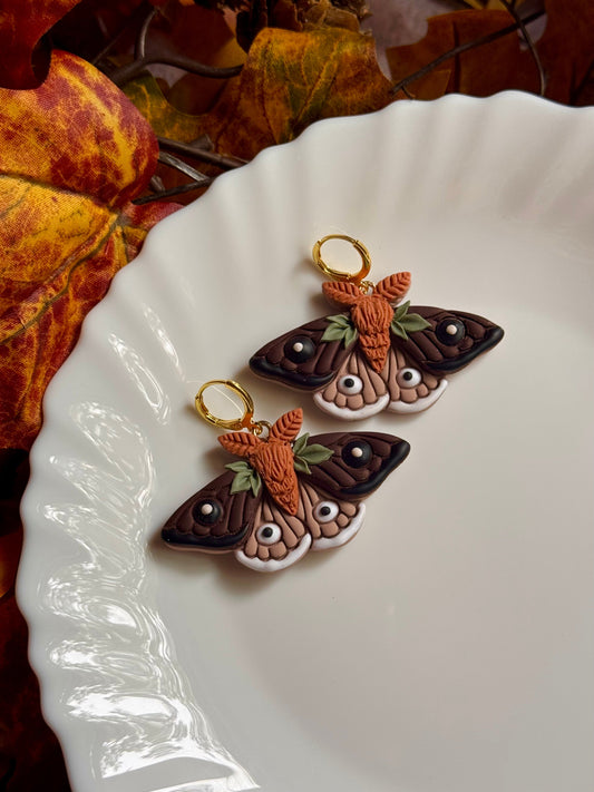 Brown Moths
